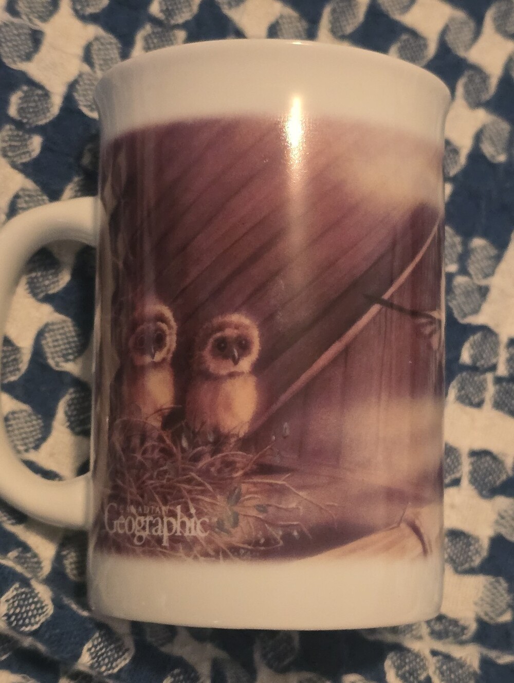 Canadian Geographic wildlife Barn Owls By Chouette Hulotte Mug